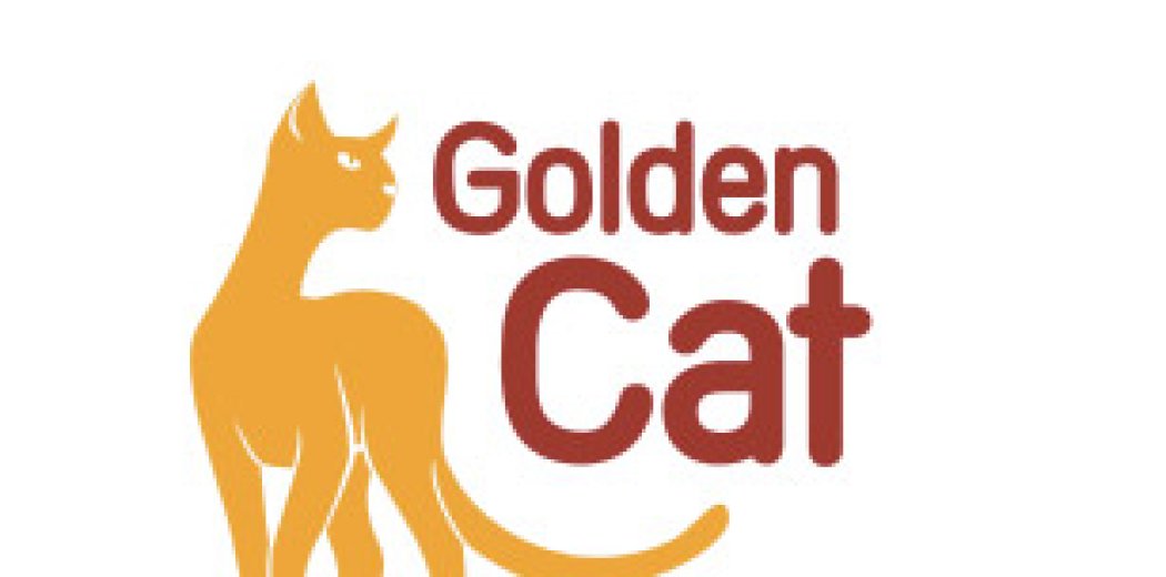 Фірмовий стиль інтернет-каталогу Golden Cat