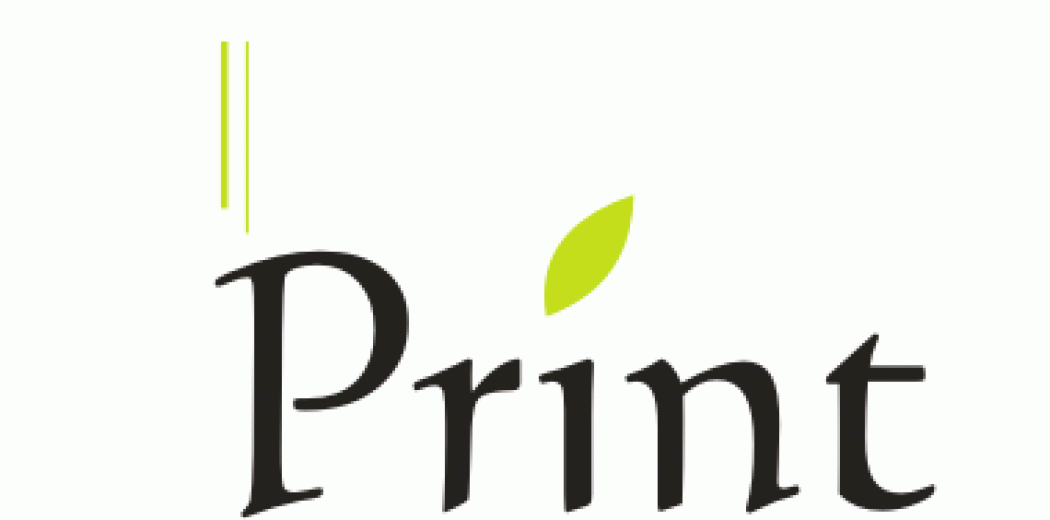 Фірмовий стиль напряму «Print» компанії «Бізнес консалт груп»