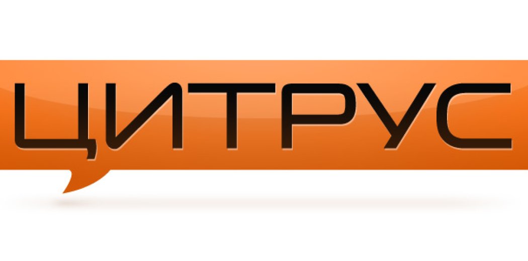 Фирменный стиль «Цитруса»