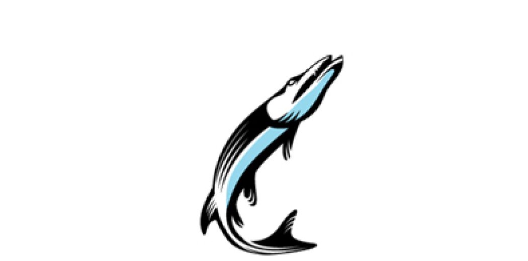 Фірмовий стиль котеджного комплексу «Vilkovo holiday and fishing club»