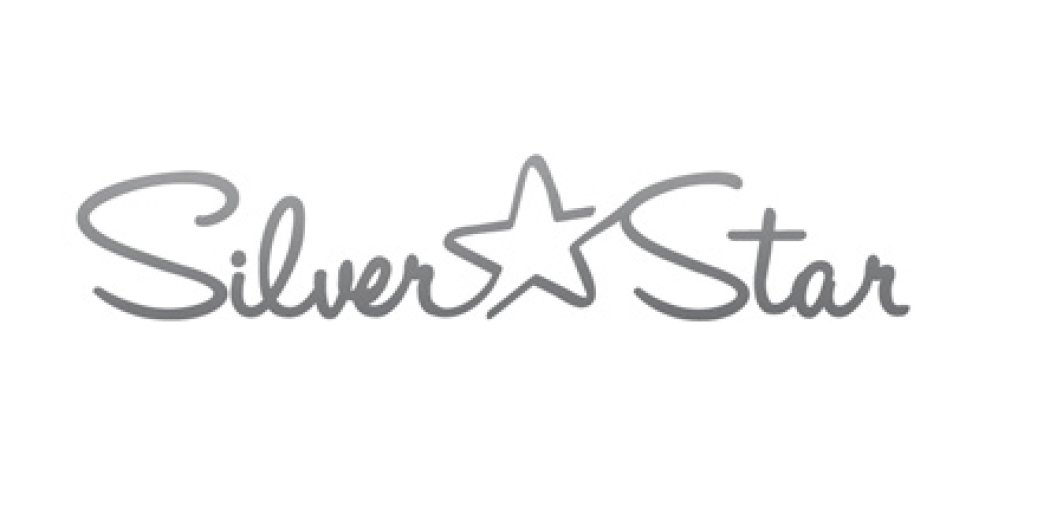 Логотип компании «Silver Star»