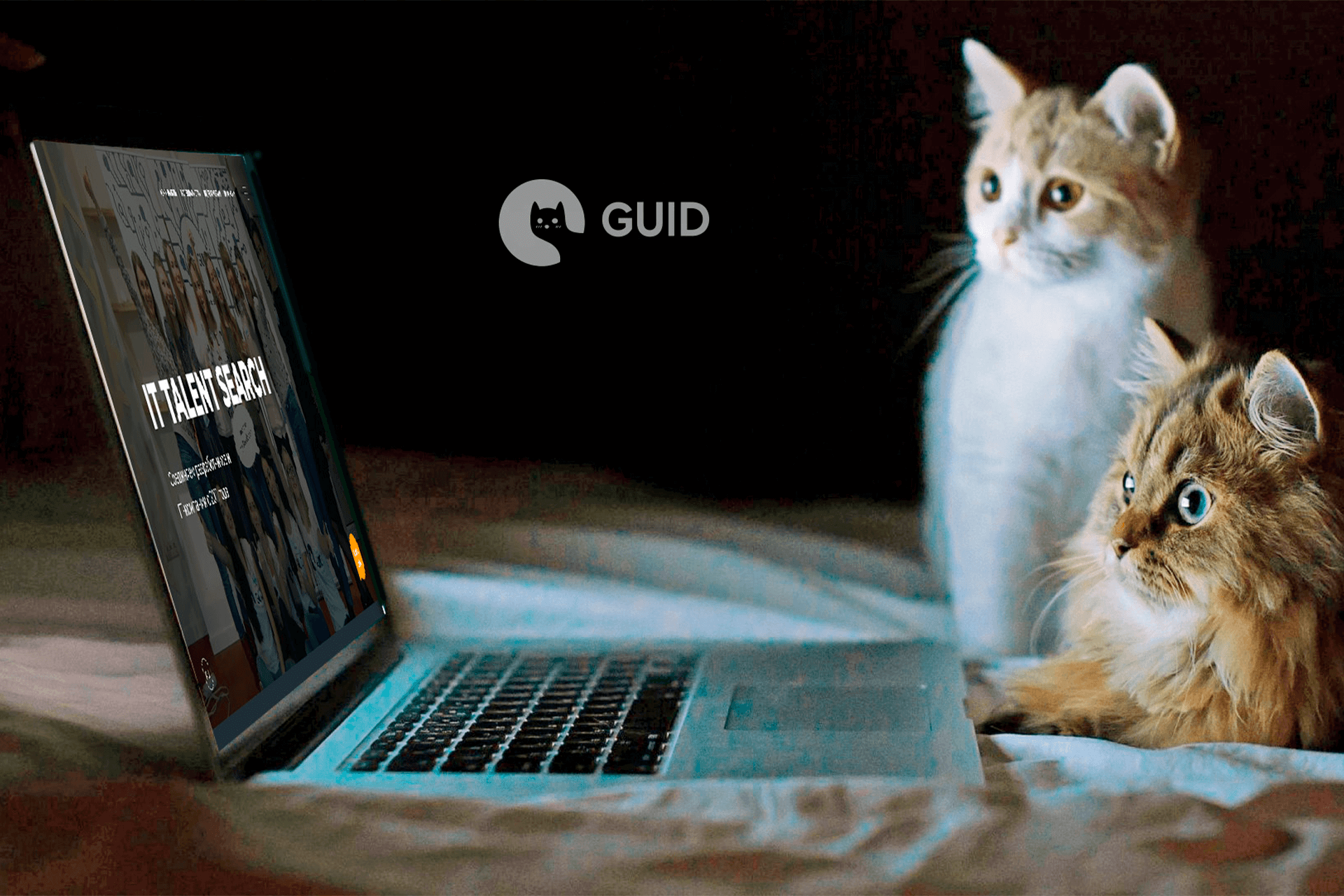 Створення сайту